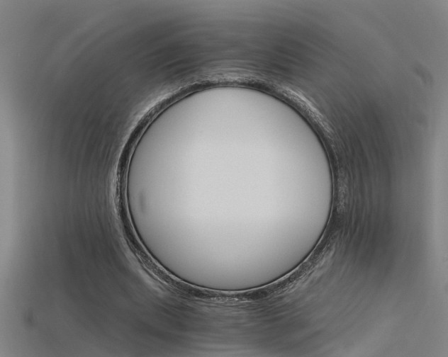 X0000115820439200911131109