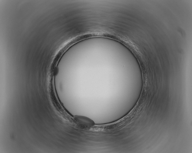 X0000115820440200911131109