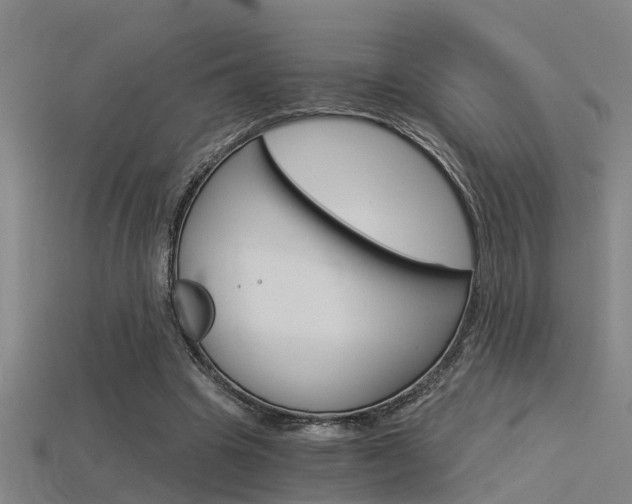 X0000115820441200911131109