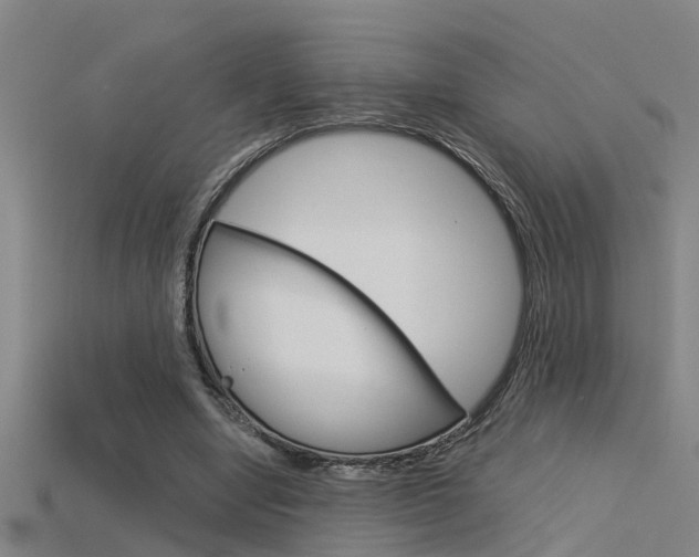 X0000115820442200911131109