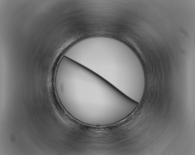 X0000115820443200911131109