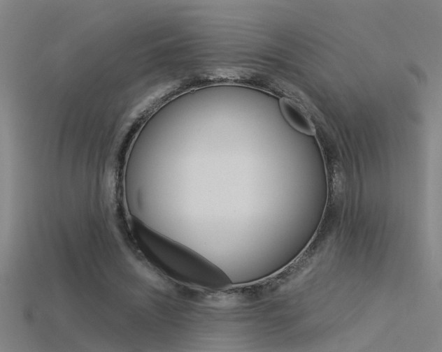 X0000115820444200911131109