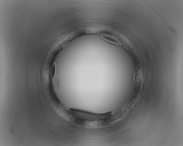 X0000115820452200911131110