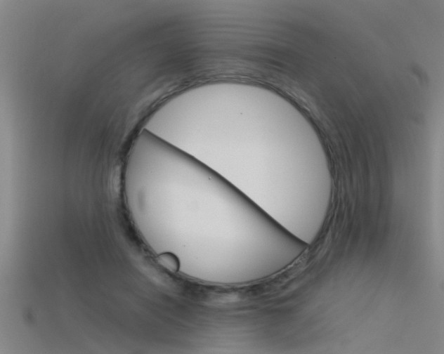 X0000115820454200911131110