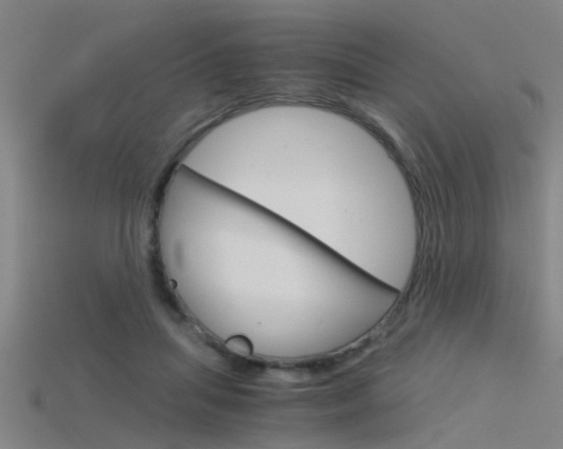 X0000115820455200911131110