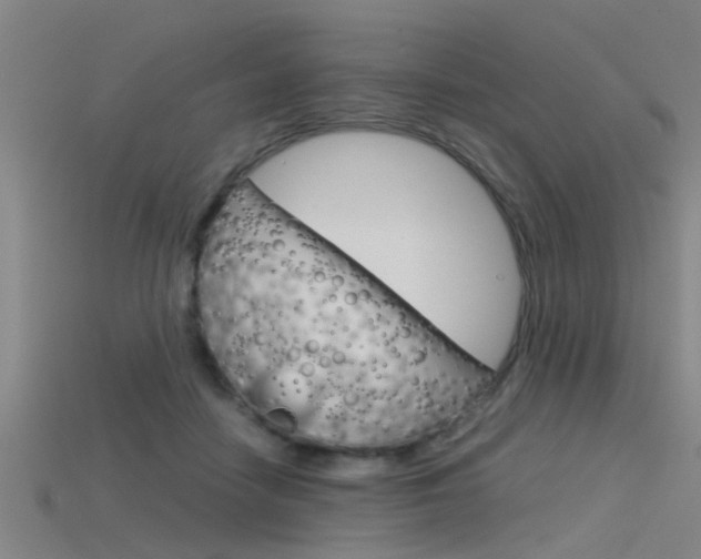X0000115820458200911131110