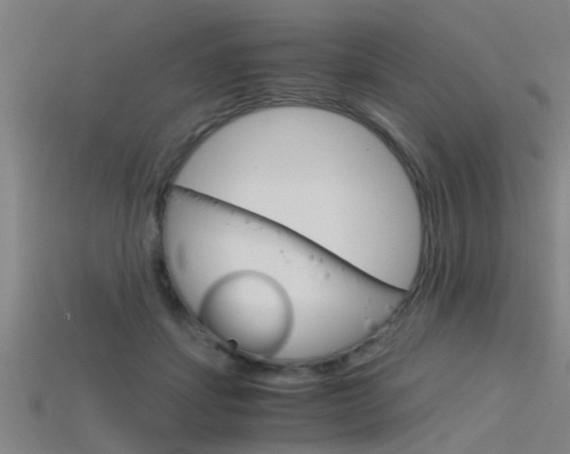 X0000115820459200911131110