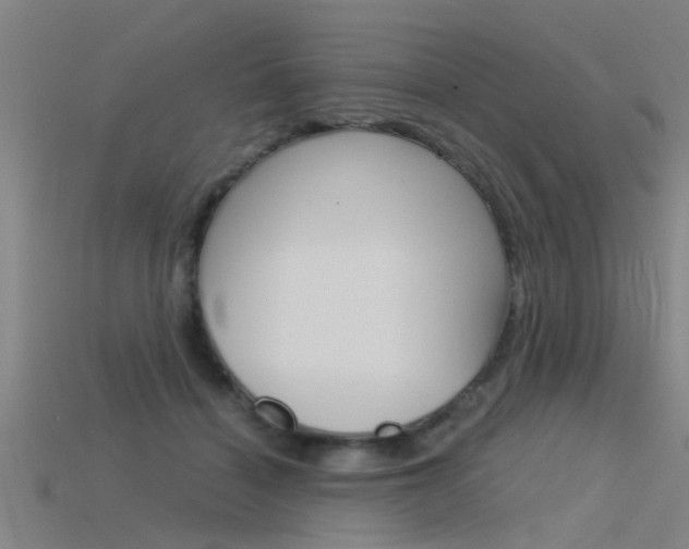 X0000115820460200911131110