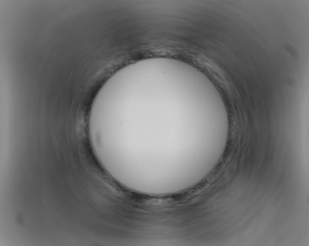 X0000115820465200911131110