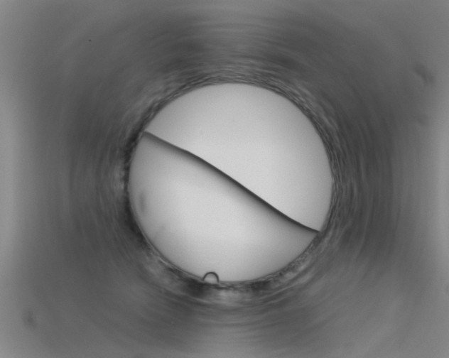 X0000115820466200911131110