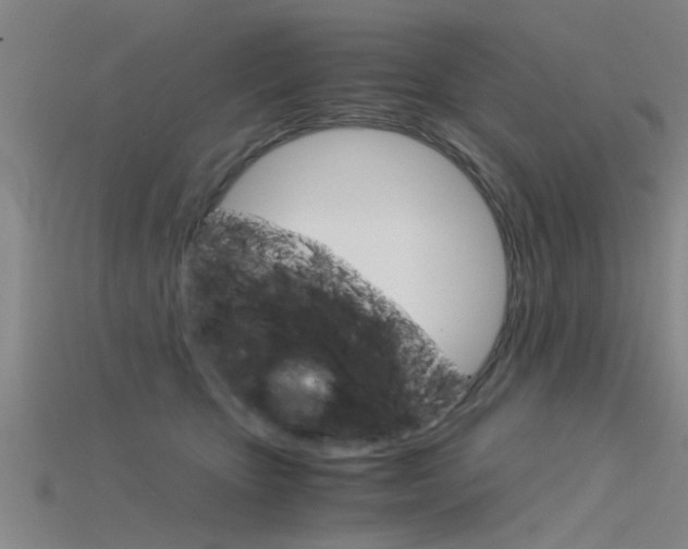 X0000115820467200911131110