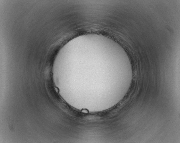 X0000115820468200911131110