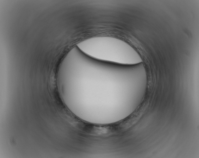 X0000115820469200911131110
