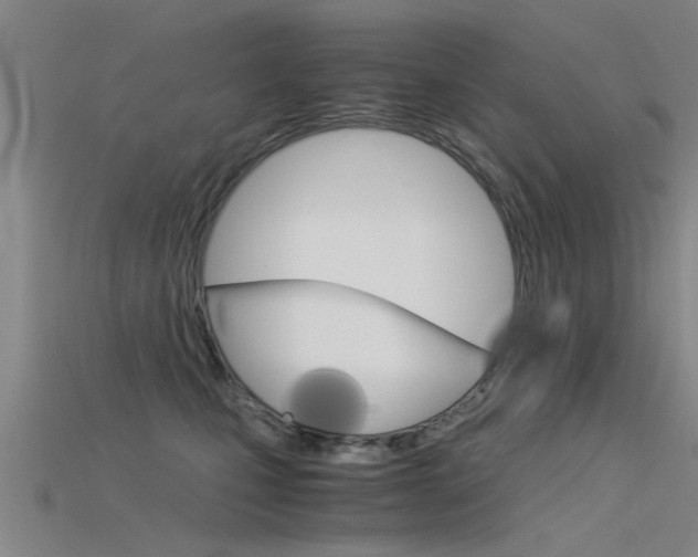 X0000115820471200911131110
