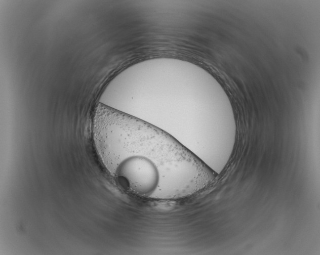 X0000115820474200911131110