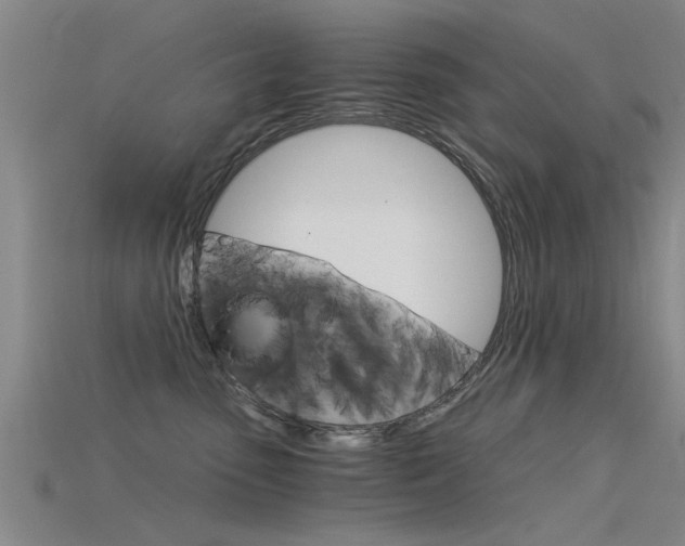 X0000115820475200911131110