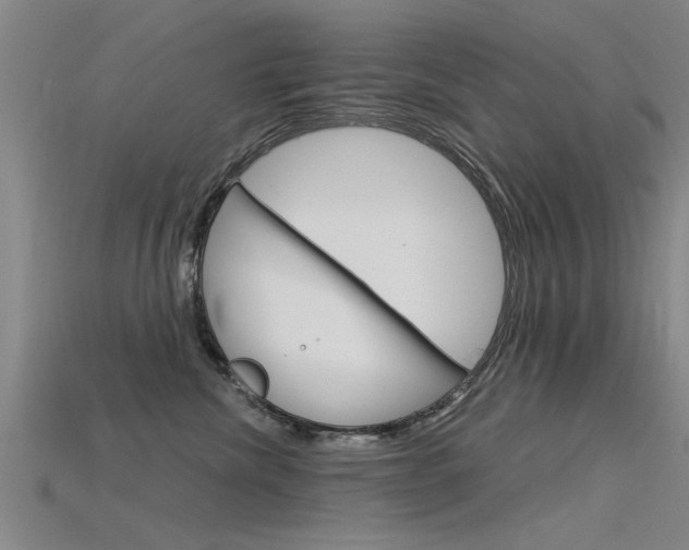 X0000115820476200911131110