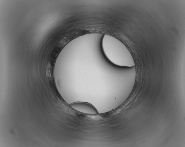 X0000115820477200911131110