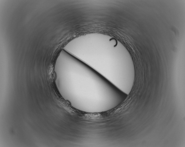 X0000115820480200911131110