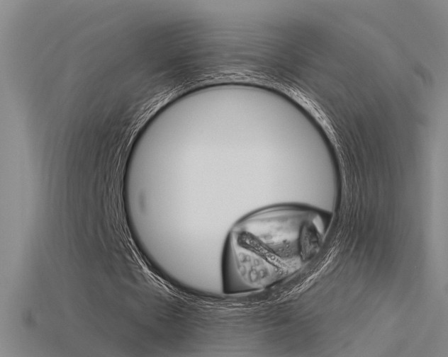 X0000115820481200911131109