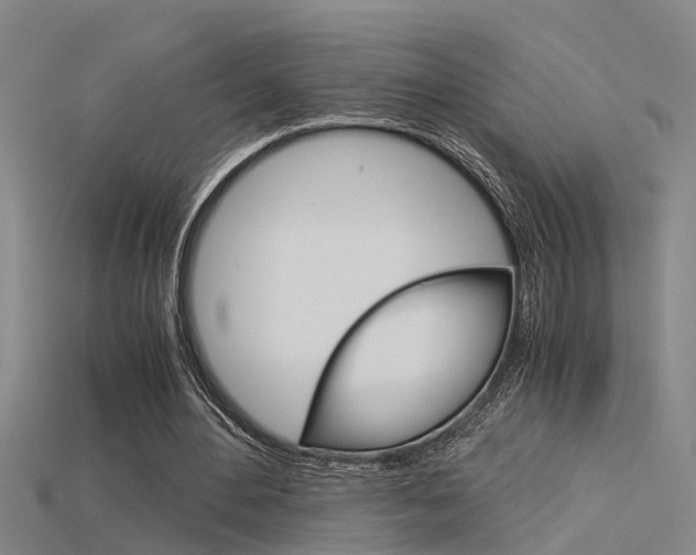 X0000115820484200911131109