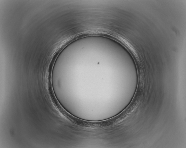 X0000115820485200911131109