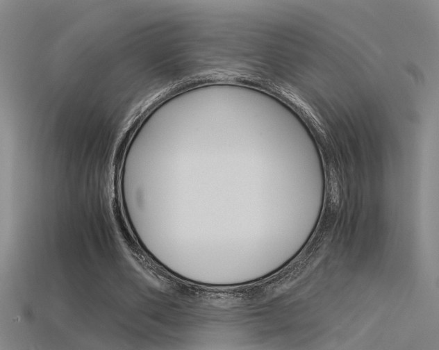 X0000115820486200911131109