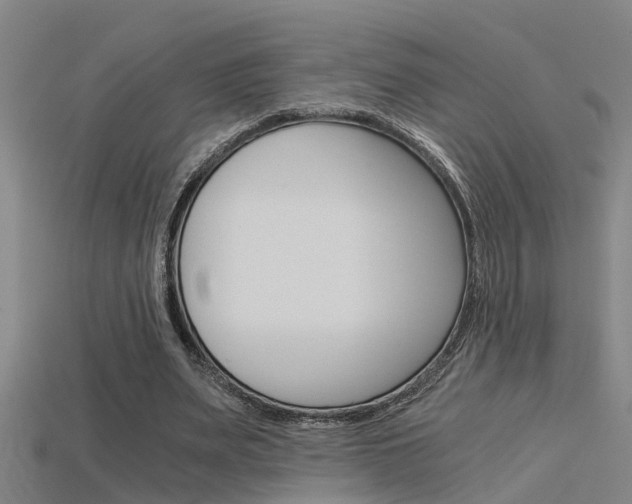 X0000115820487200911131109