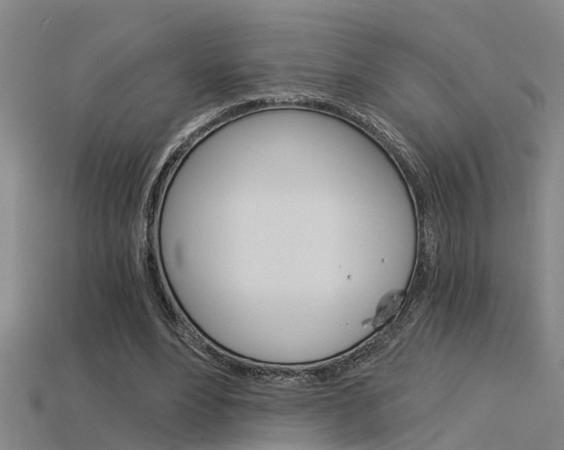 X0000115820488200911131109