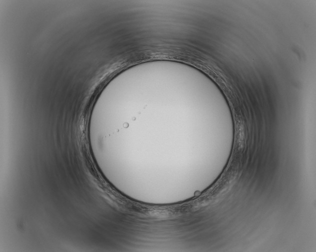 X0000115820490200911131109
