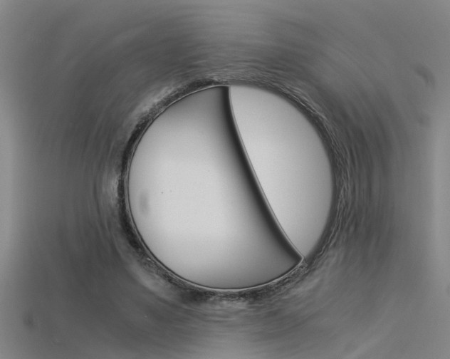 X0000115820491200911131109