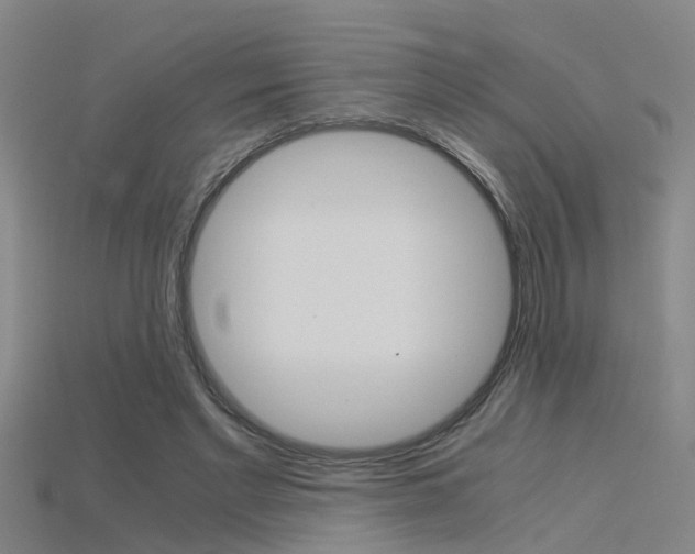 X0000115820493200911131109