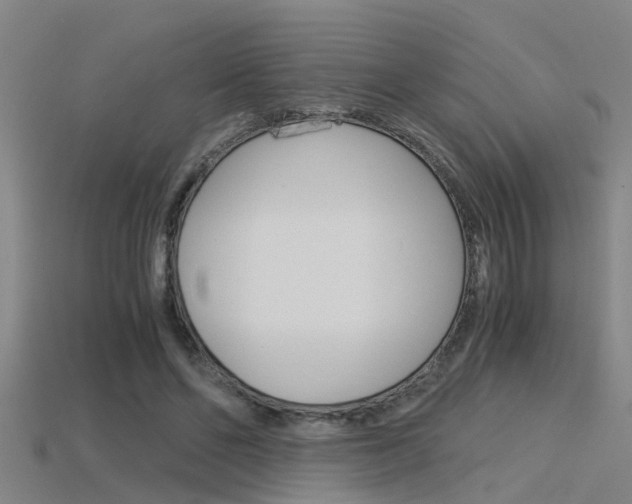 X0000115820494200911131109
