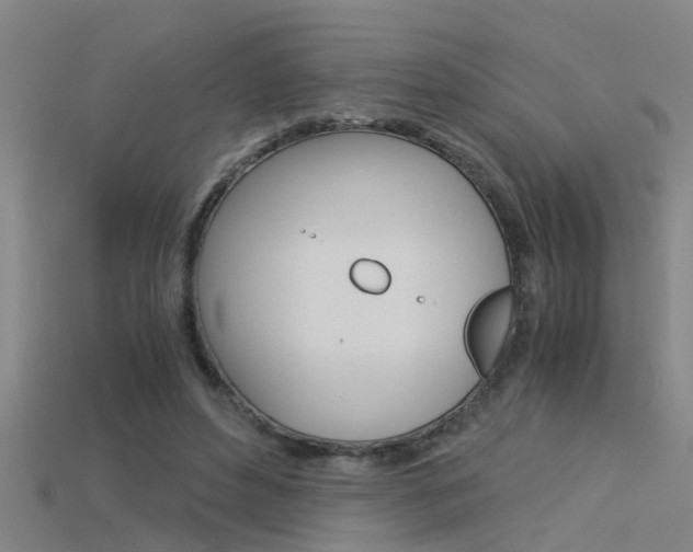 X0000115820496200911131109