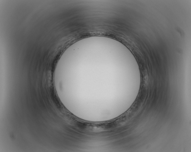 X0000115820498200911131109
