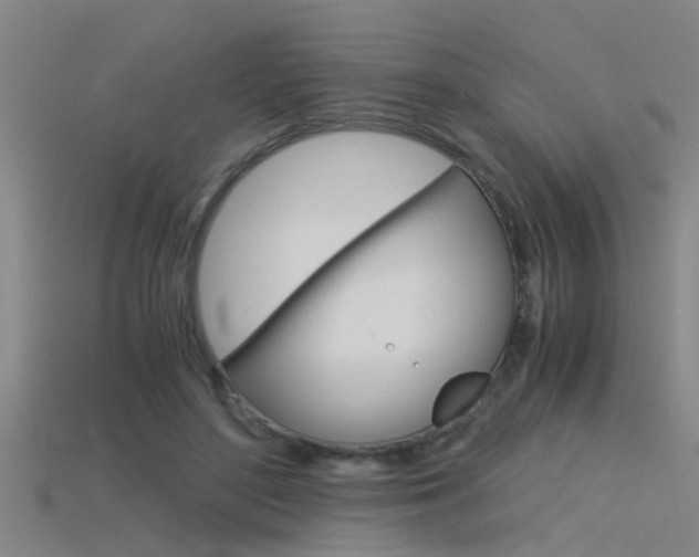 X0000115820500200911131109