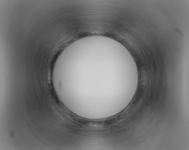 X0000115820502200911131109