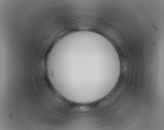 X0000115820506200911131109