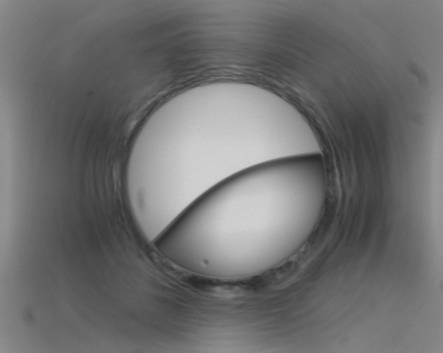 X0000115820508200911131109