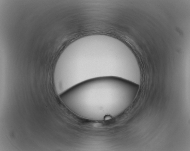 X0000115820509200911131109