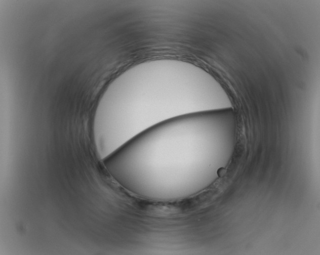 X0000115820512200911131109