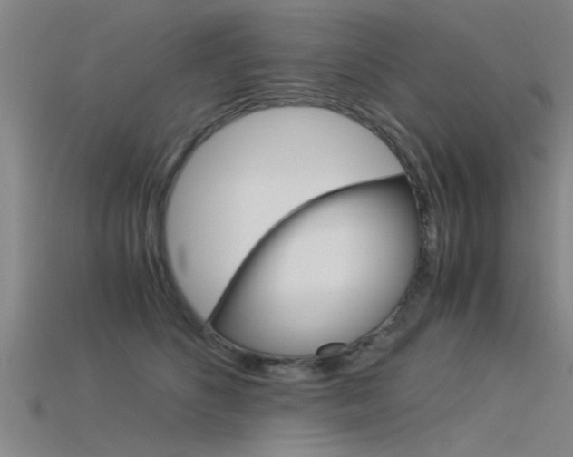 X0000115820516200911131109