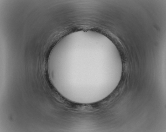 X0000115820517200911131109