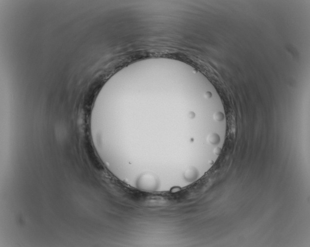 X0000115820519200911131109