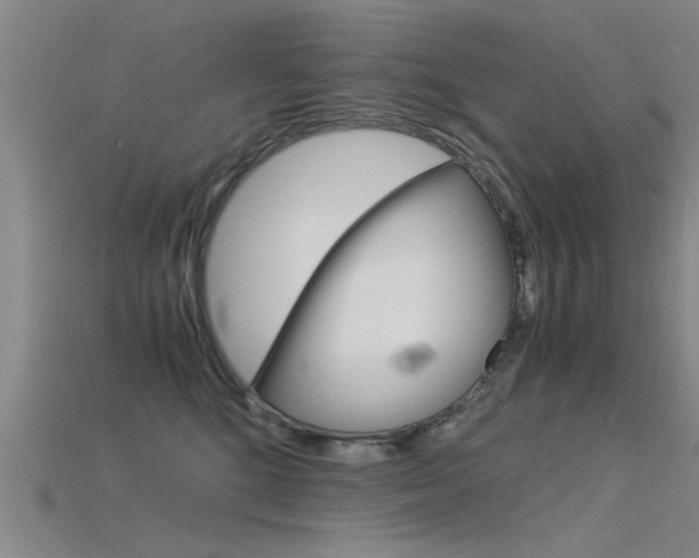 X0000115820520200911131109