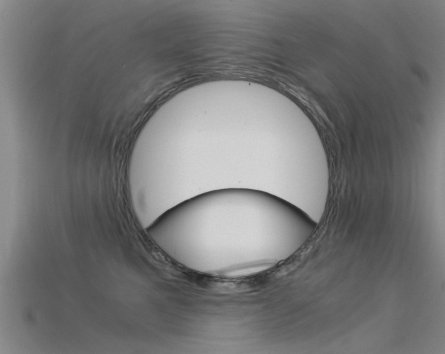 X0000115820521200911131109