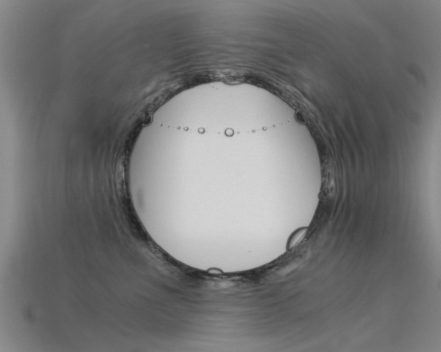 X0000115820523200911131109