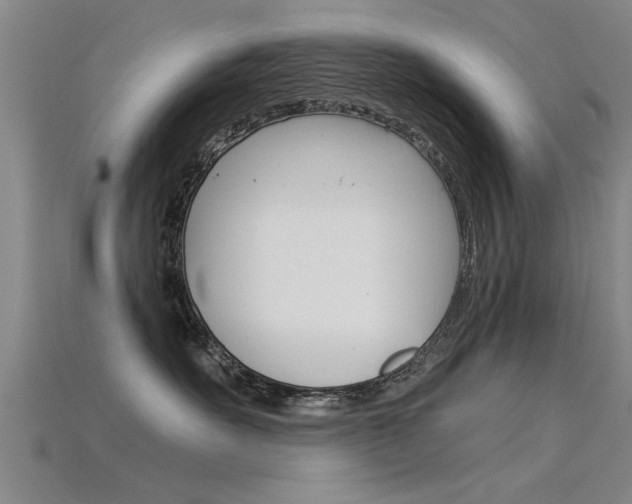 X0000115820527200911131109