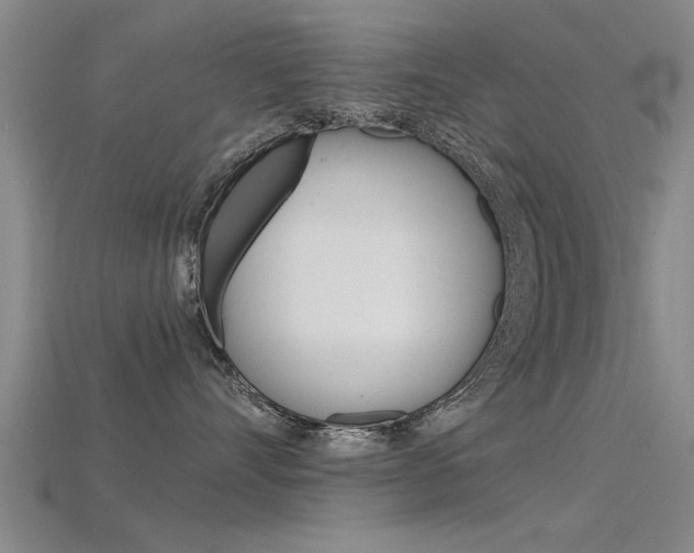 X0000115820528200911131109