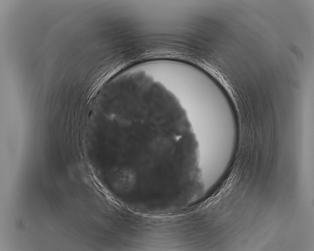 X0000115820529200911131108